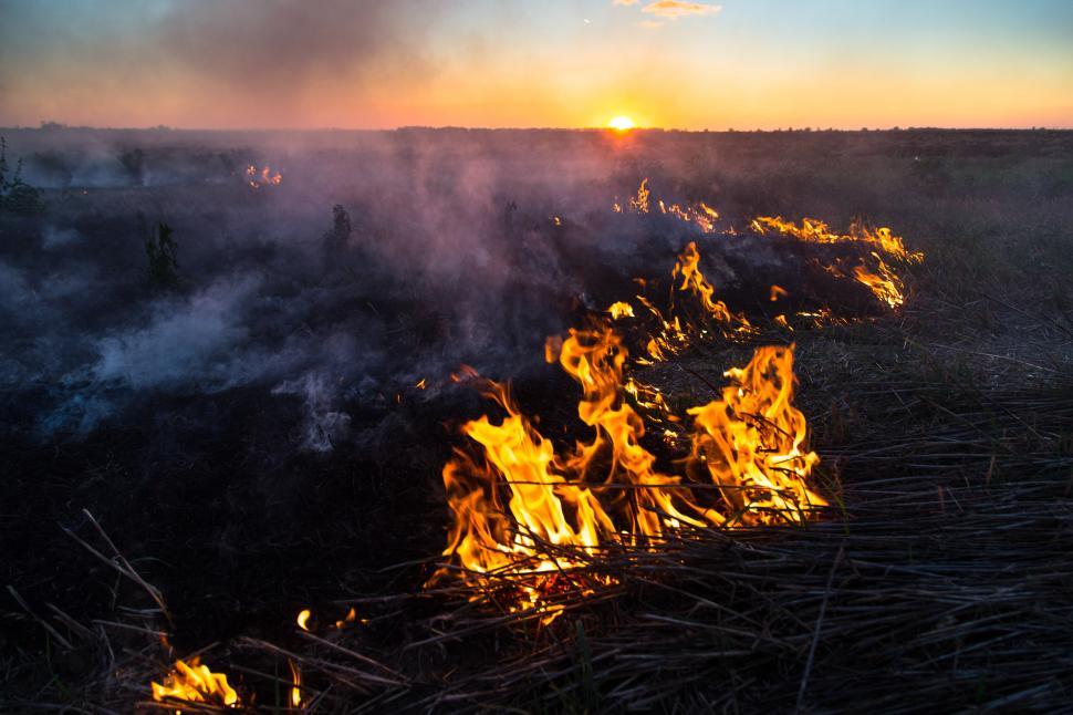 Free Image of A fire in a field 