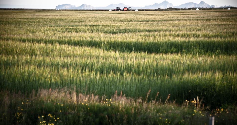 Free Image of A large field of grass with a tractor in the background 