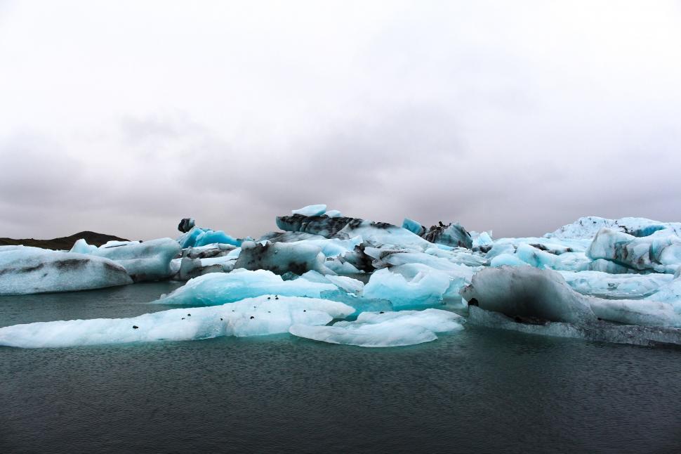 Free Image of Icebergs in the water 