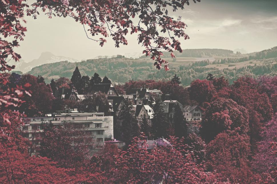 Free Image of A group of buildings in a forest 