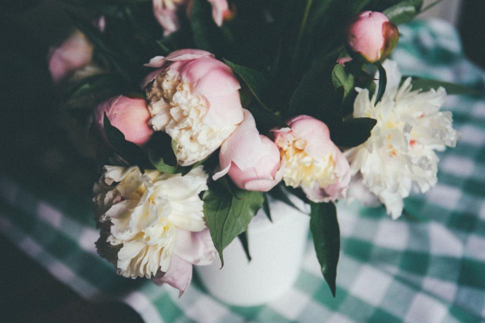 Free Image of A bouquet of pink and white flowers 