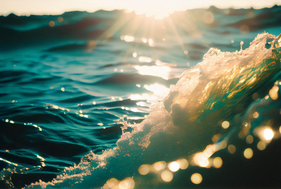 Free Image of A wave in the water 