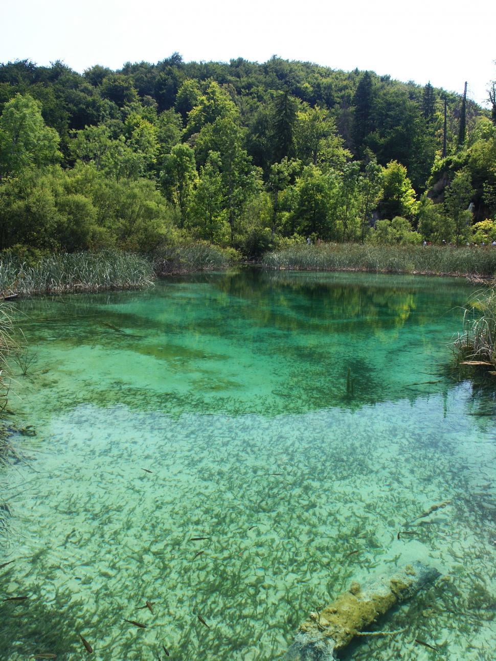 Free Image of Plitvice Lakes national park in Croatia Landscape 