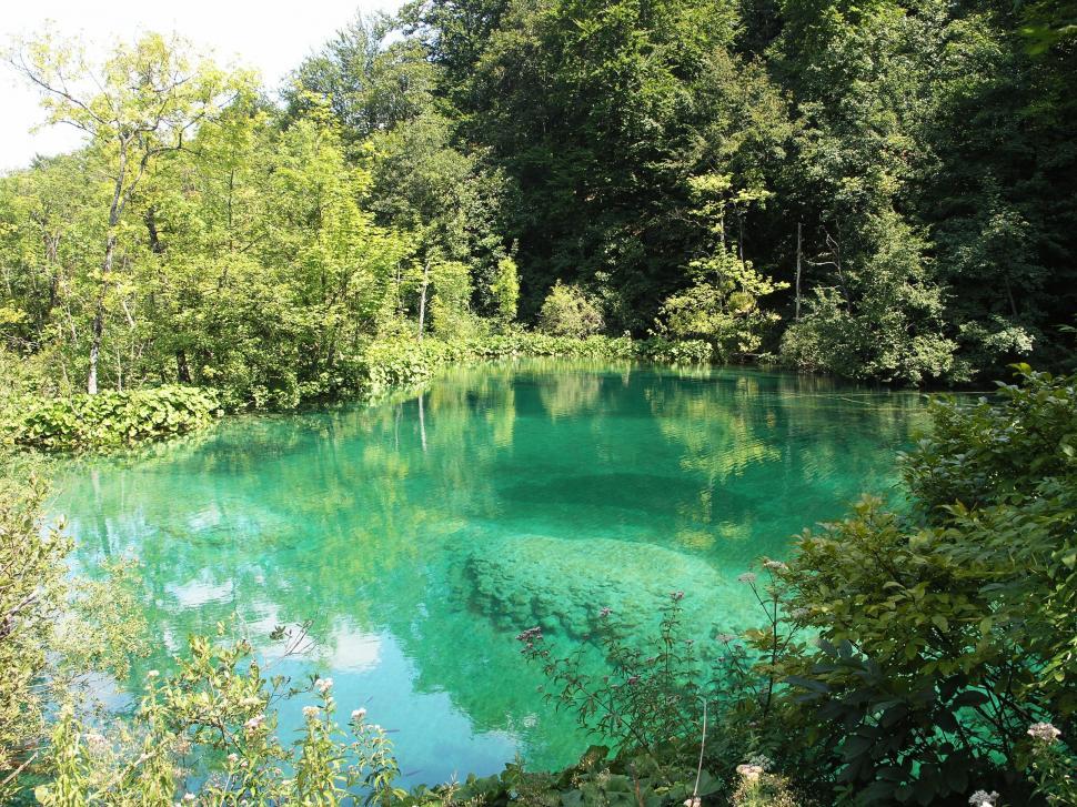 Free Image of Plitvice Lakes national park in Croatia Landscape 