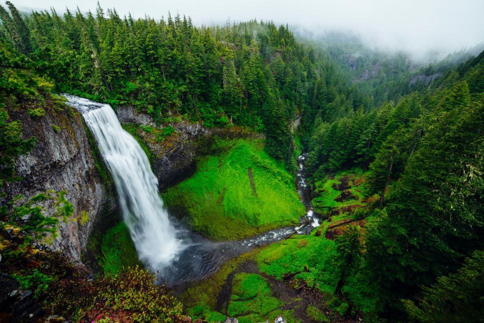 Free Image of A waterfall in a forest 