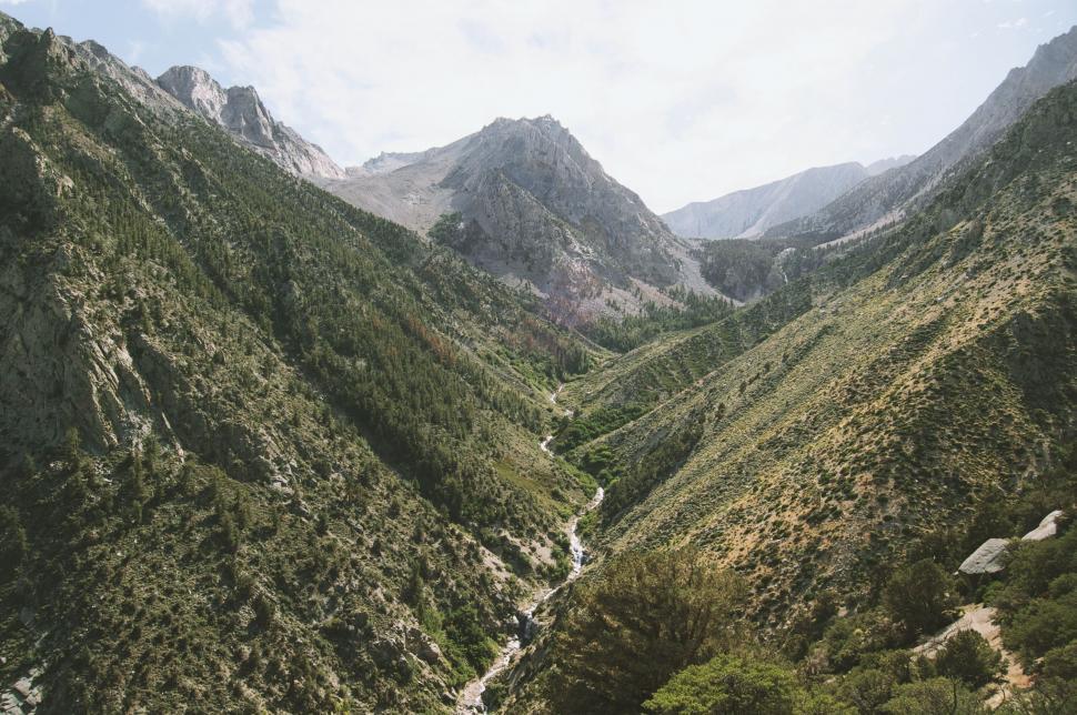 Free Image of A mountain range with trees and a river 