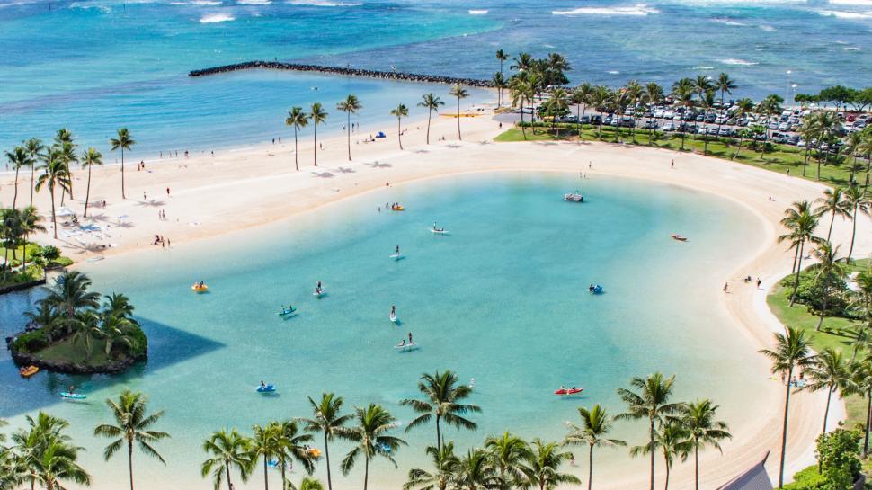 Free Image of A beach with palm trees and people on it 