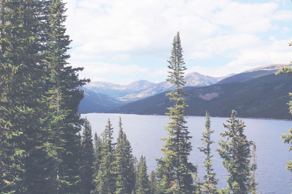Free Image of A lake surrounded by trees 