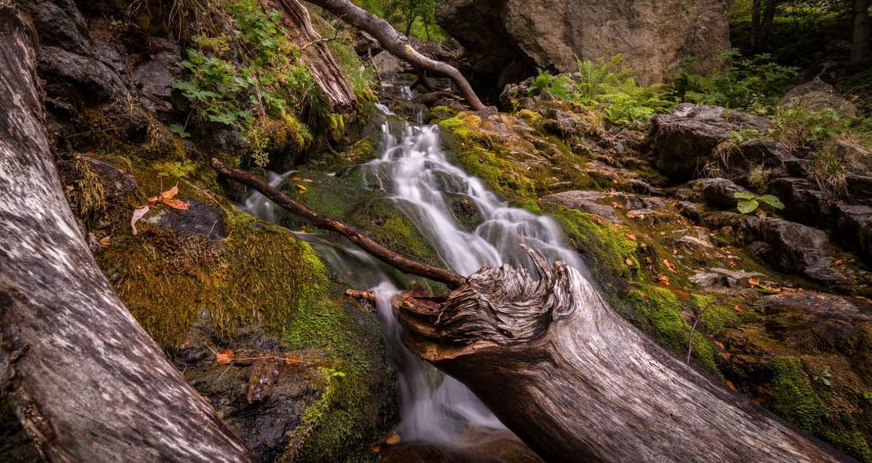Free Image of A waterfall in a forest 