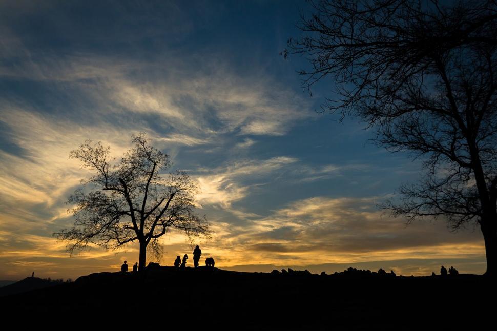 Free Image of A group of people standing under a tree 