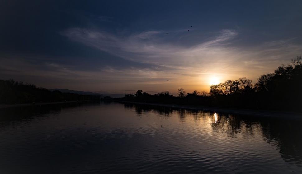 Free Image of A body of water with trees and birds flying in the sky 