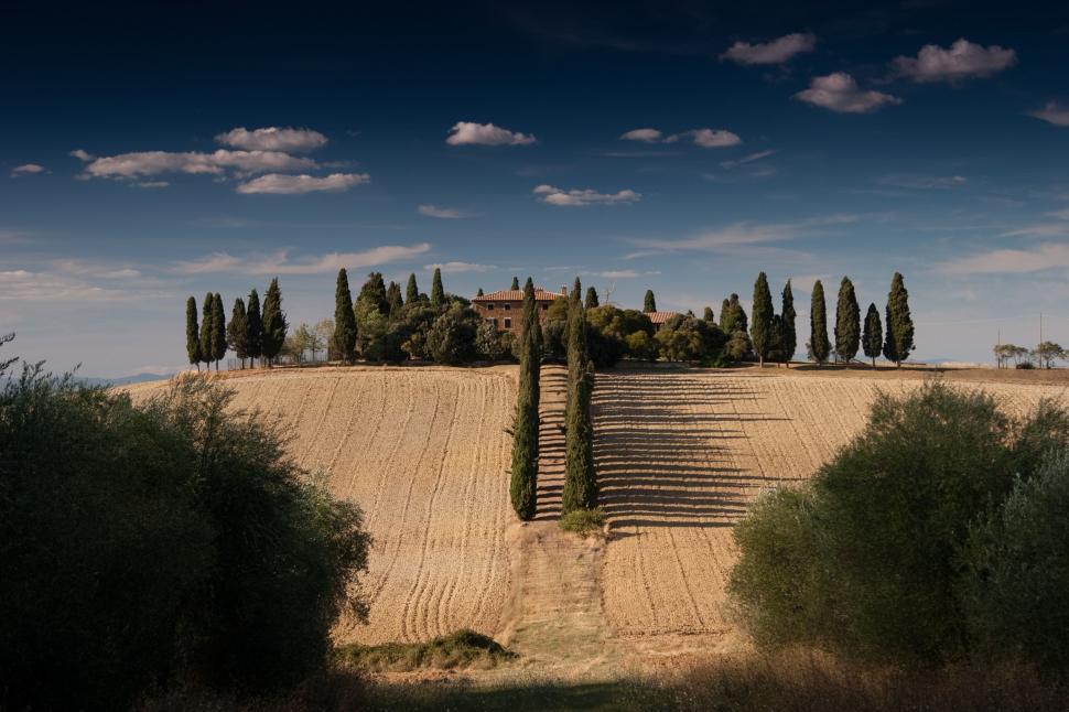 Free Image of A field with trees and a house in the distance 