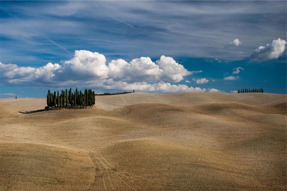 Free Image of A landscape with a row of trees 