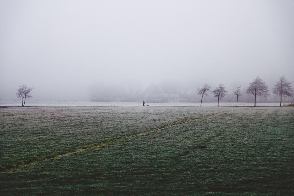 Free Image of A field with trees and a dog 