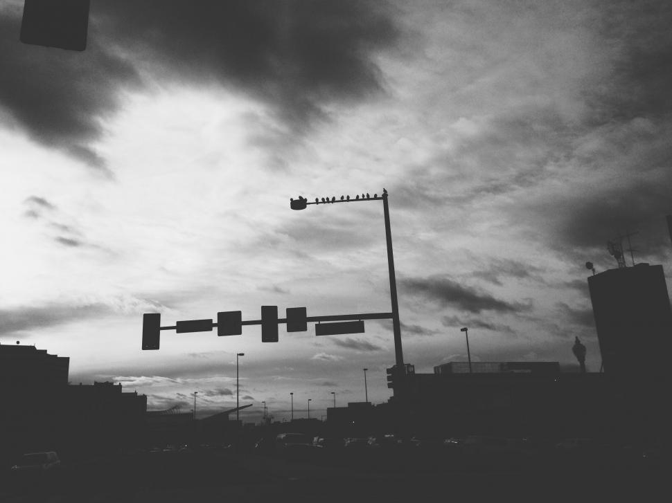 Free Image of A street light with birds on it 