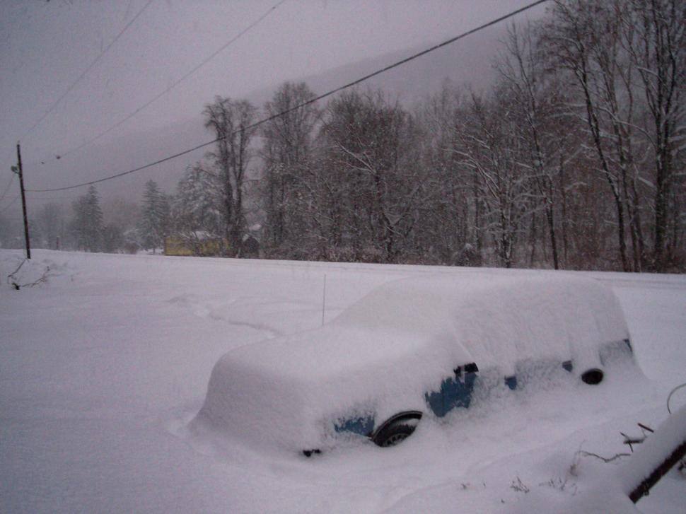 Free Image of Winter Wonderland 