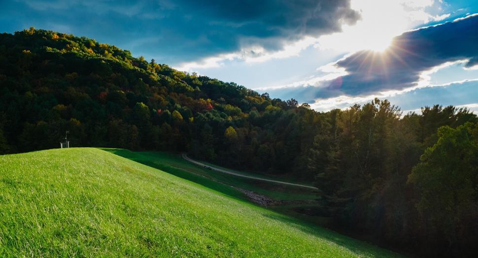 Free Image of A green field with trees in the background 