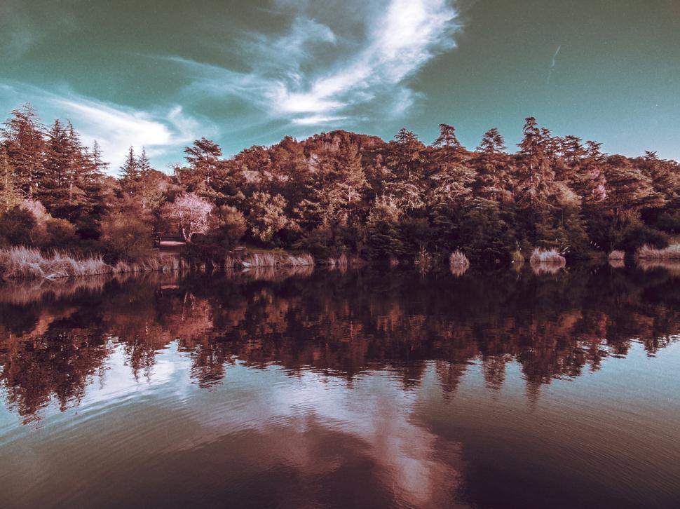 Free Image of A body of water with trees and a hill in the background 