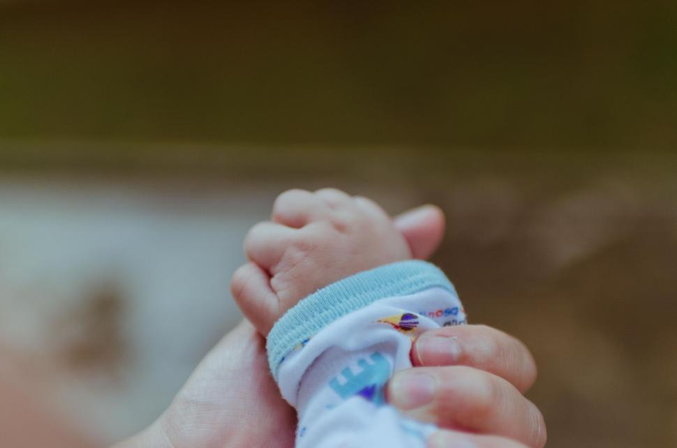 Free Image of A baby s hand holding a hand 