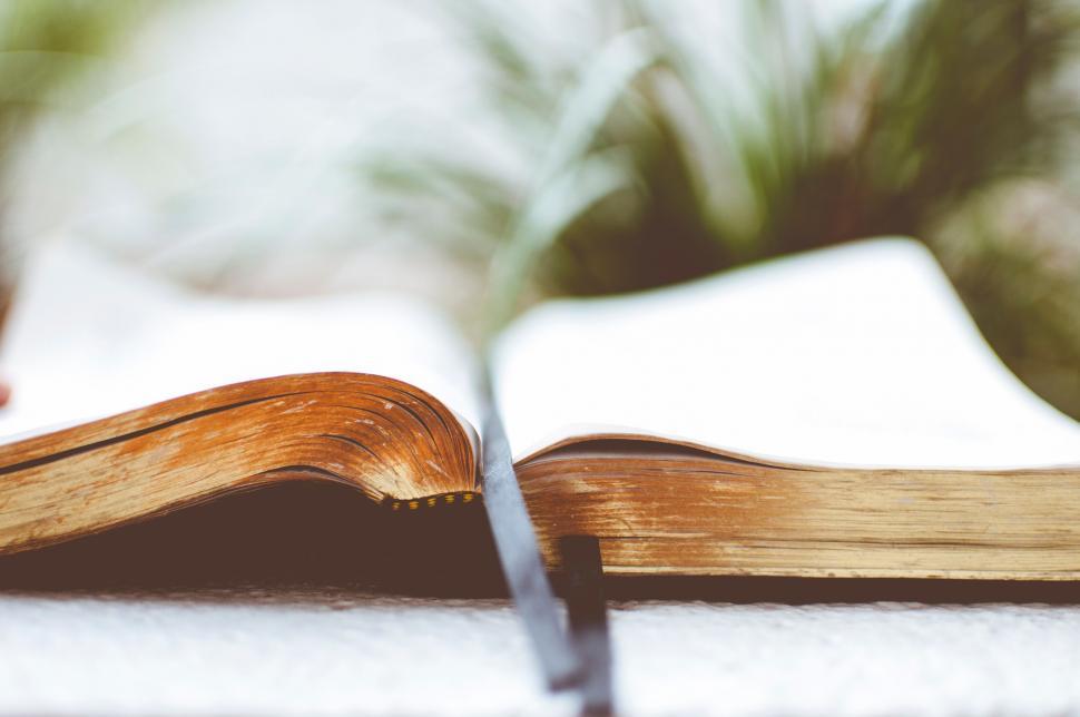 Free Image of Open book with blurred natural background 