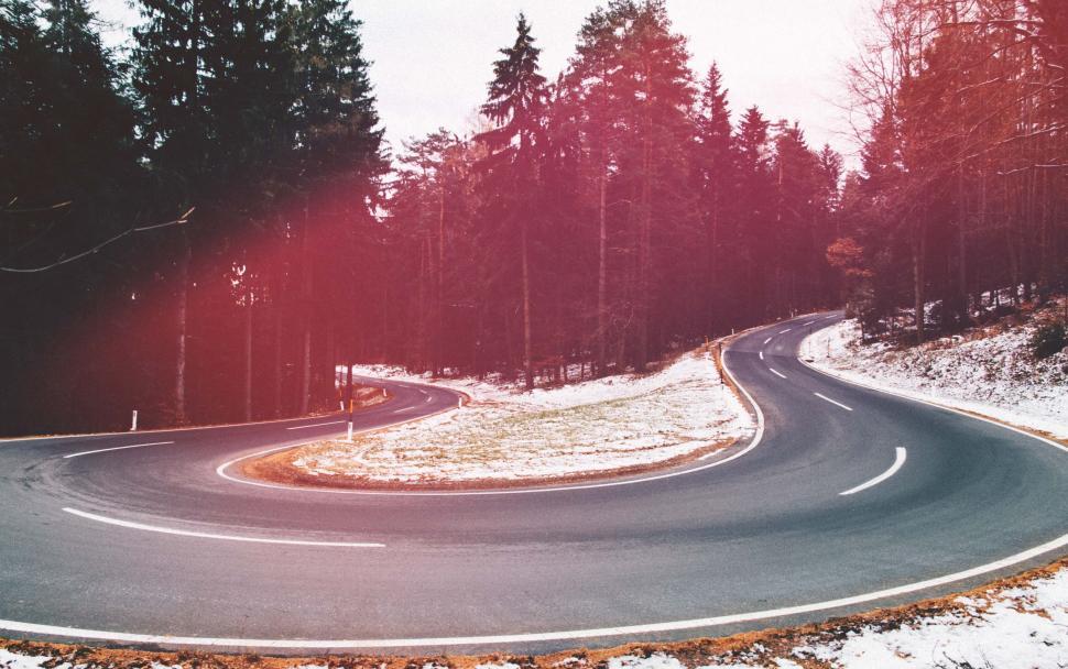 Free Image of Curving road through a forest 