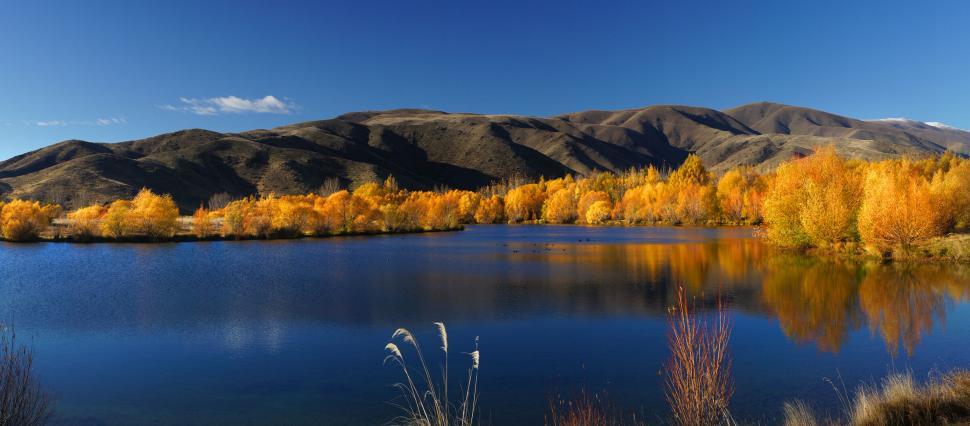 Free Image of Autumnal trees reflecting on a calm lake 