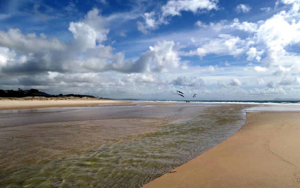 Free Image of Expansive beach landscape with soaring birds 