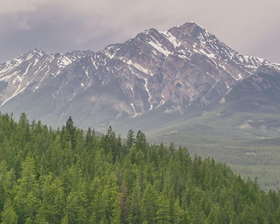 Free Image of Lush mountain range with green forest 