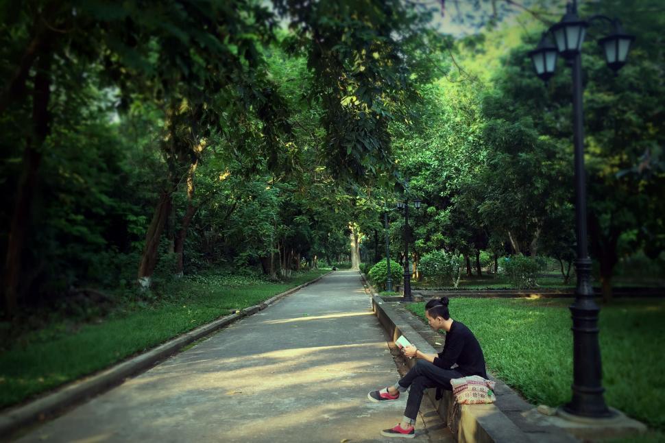 Free Image of Man on park bench using phone 