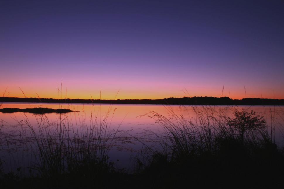 Free Image of Purple Night 