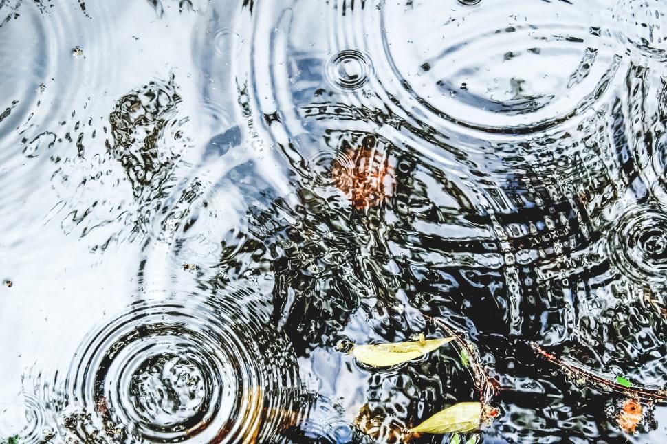 Free Image of Raindrops creating ripples in a puddle with leaves 