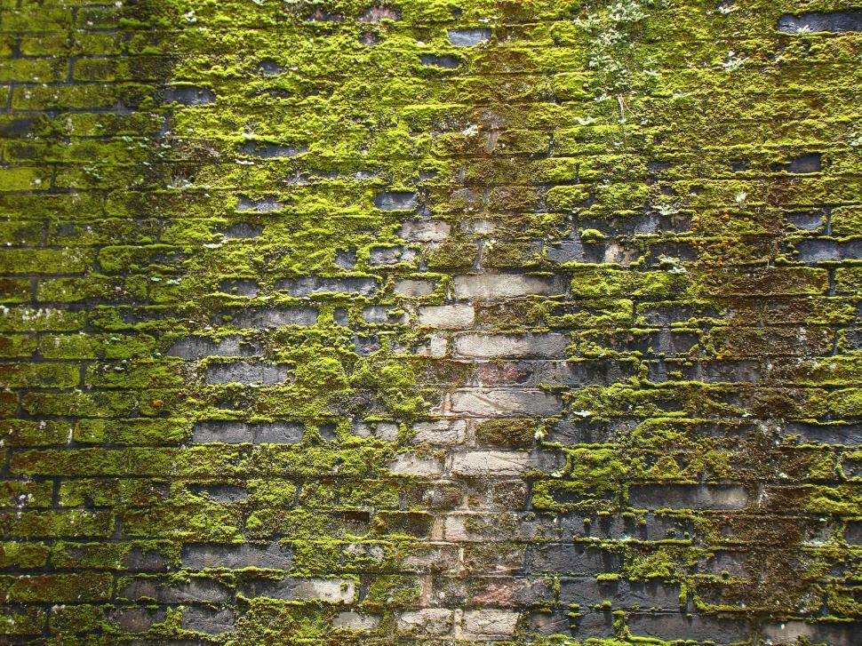 Free Image of Bricks textures 