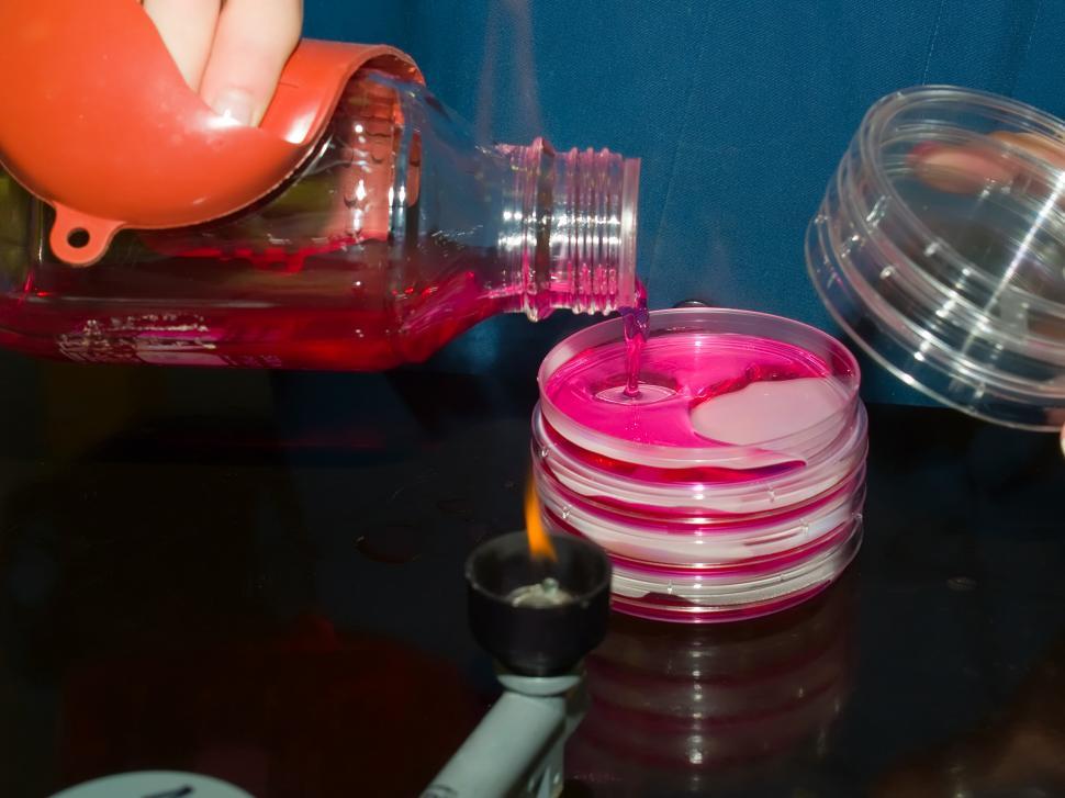 Free Image of Microbiology 
