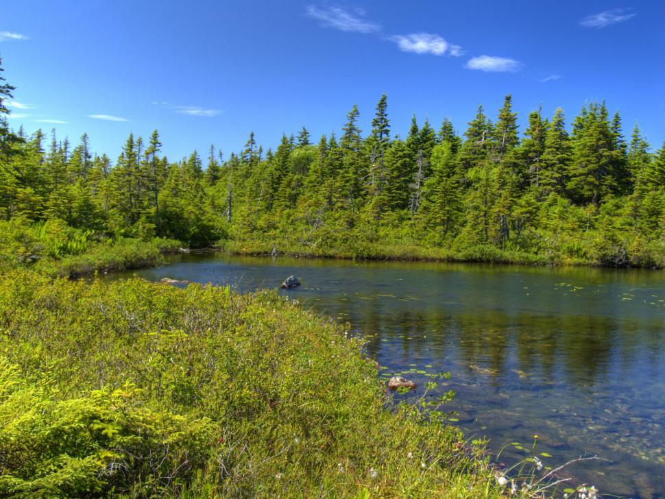 Free Image of River 