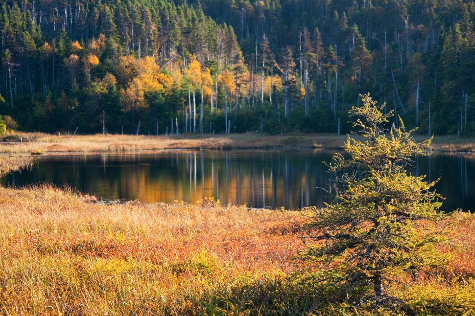 Free Image of Autumn 