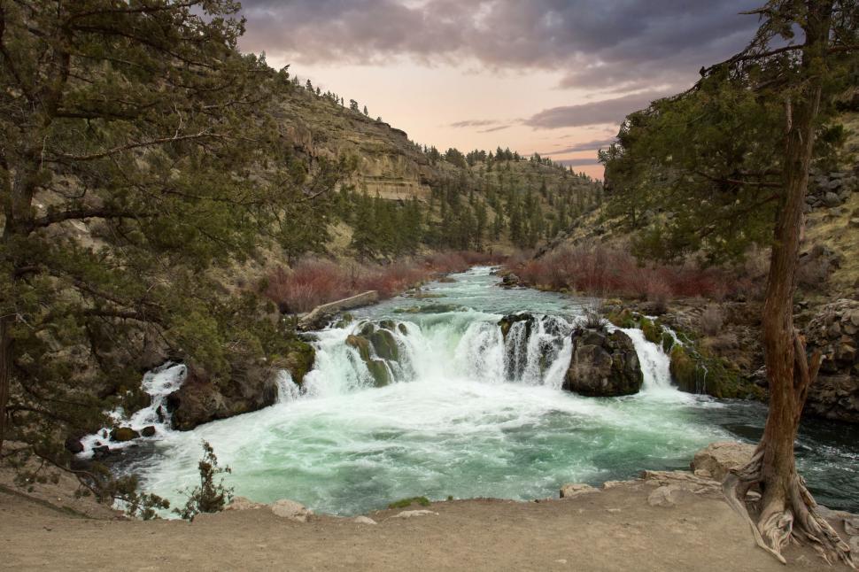 Free Image of Rushing waterfall in a rugged forest landscape 