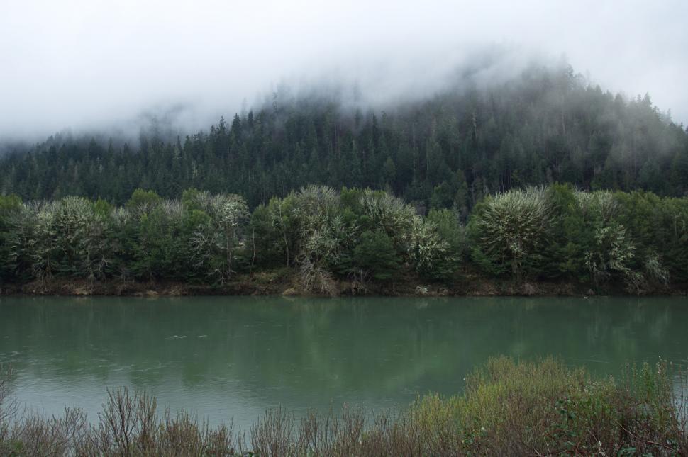 Free Image of Misty forest landscape near the river 