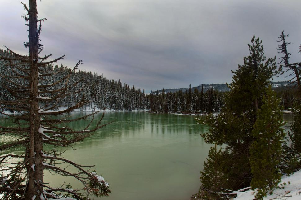Free Image of Winter Wonderland by Foggy River 