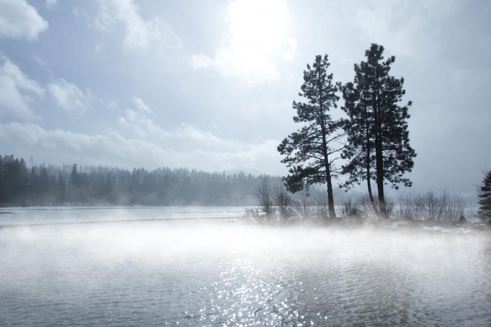 Free Image of Misty morning by a river with sun flare and trees 