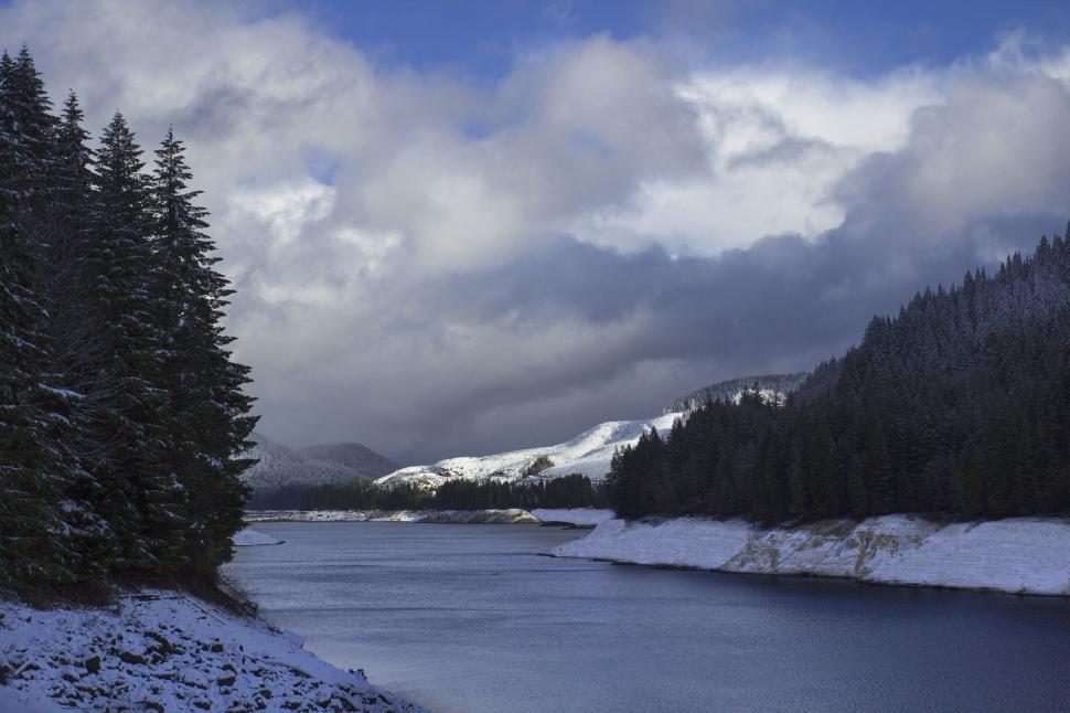 Free Image of Snowy landscape with coniferous trees 