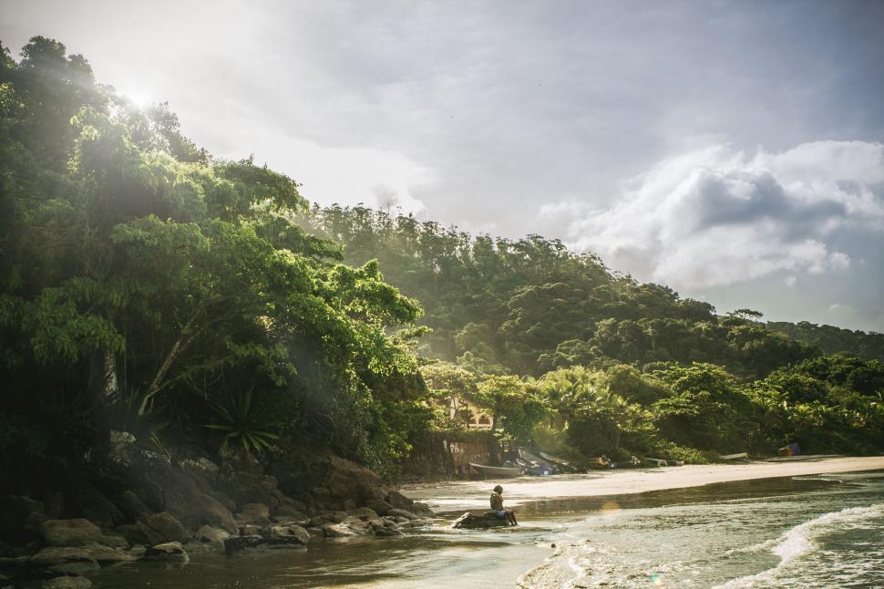 Free Image of Sunlit tropical beach with dense forest 