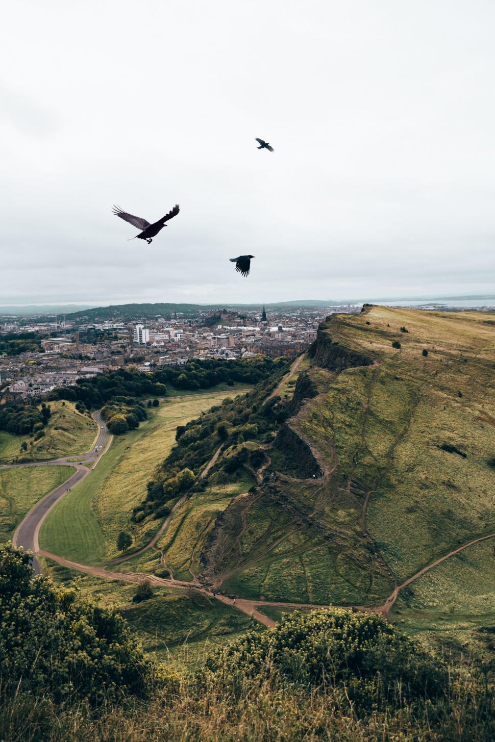 Free Image of Breathtaking aerial view of verdant hills 