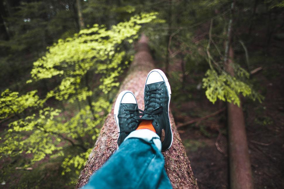 Free Image of Person sitting on tree trunk in forest 