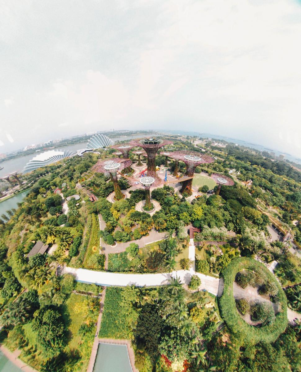 Free Image of Bird s-eye view of Gardens by the Bay greenery 
