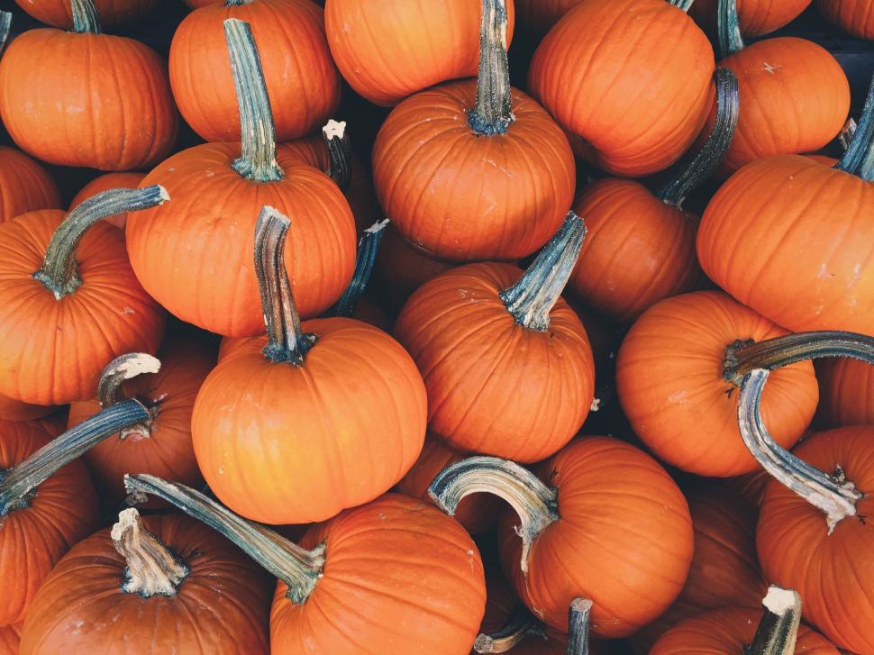 Free Image of Pile of vibrant orange pumpkins 