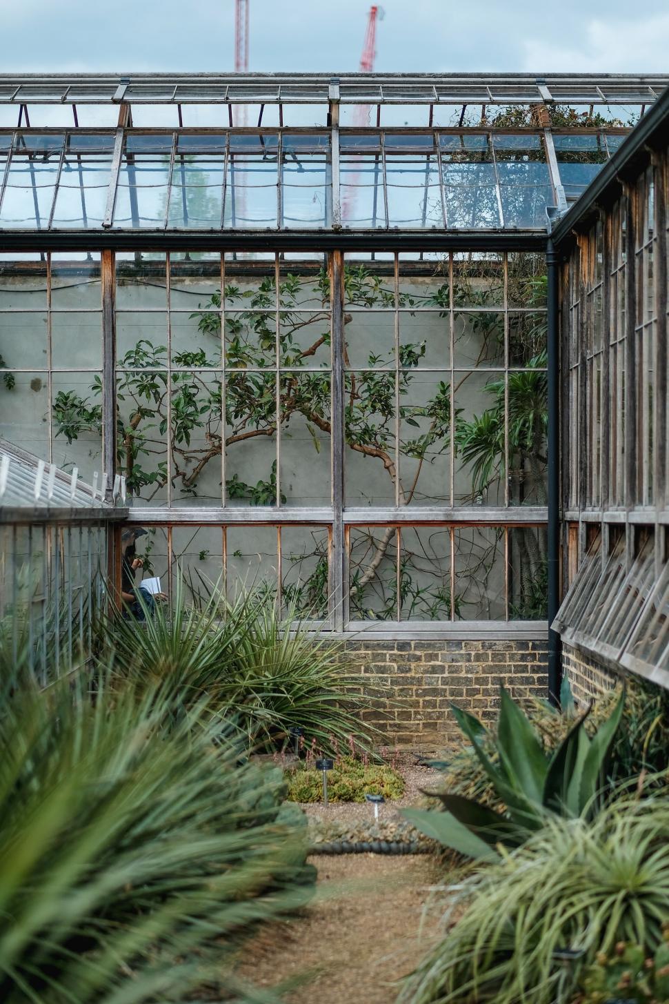 Free Image of Greenhouse with plants in urban garden 