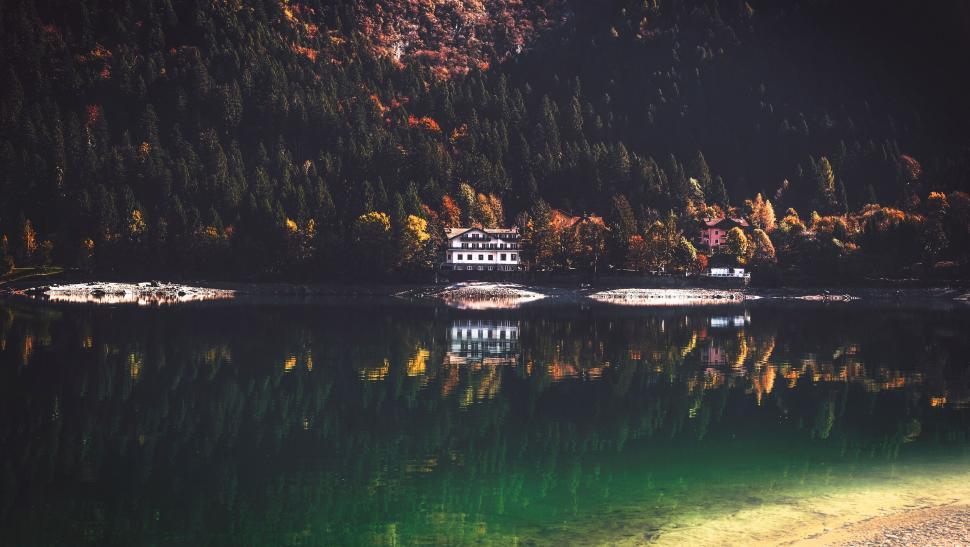 Free Image of Secluded lakeside houses surrounded by autumn trees 
