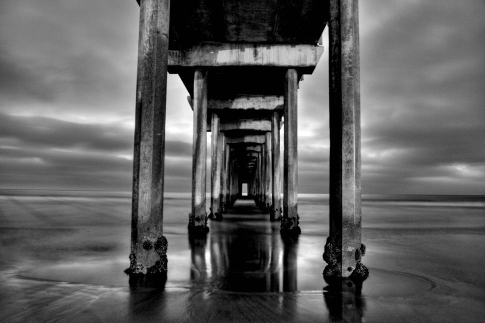 Free Image of La jolla beach 