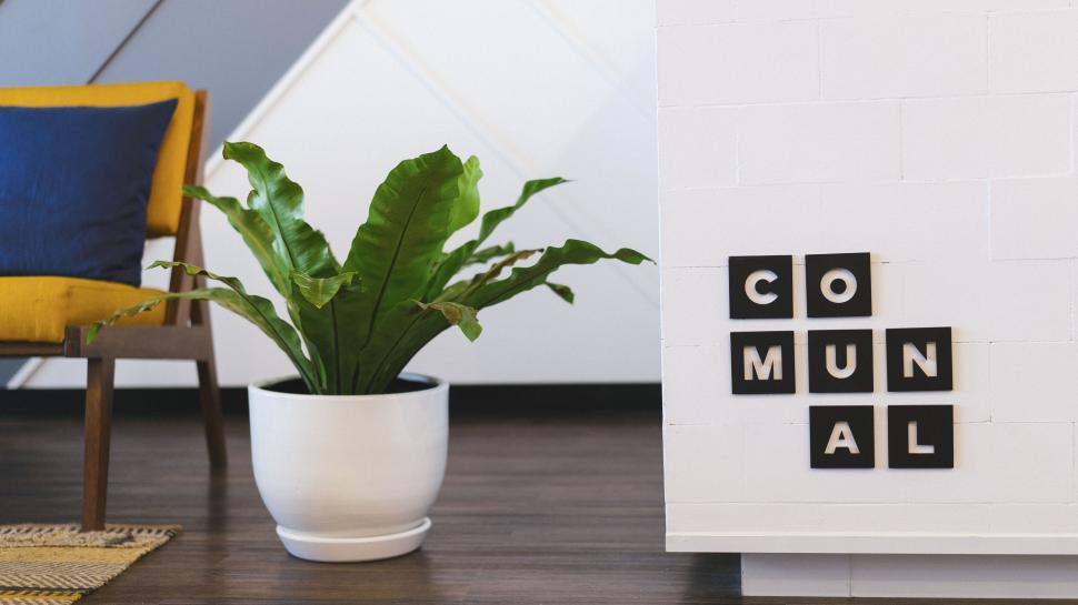 Free Image of Stylish communal space in modern office 