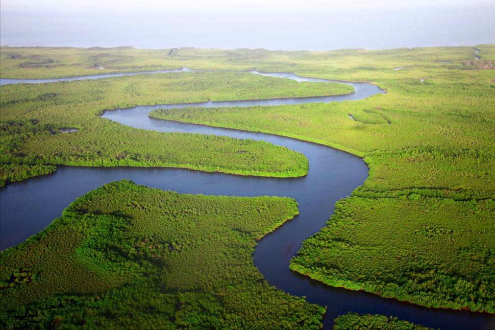 Free Image of Aerial view of winding river through forest 